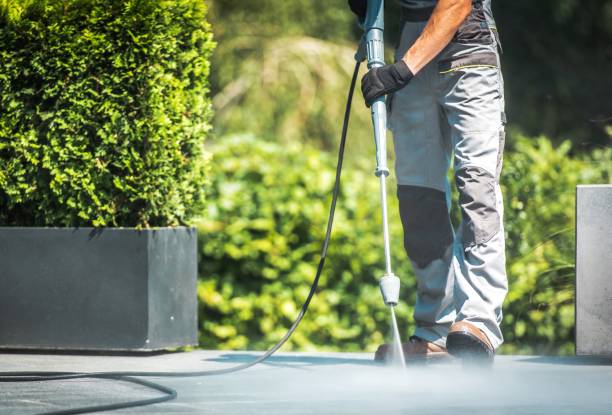 Best Residential House Exterior Washing  in Sarcoxie, MO